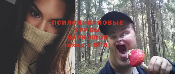 гидра Алзамай