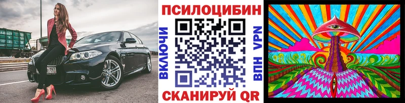 Псилоцибиновые грибы прущие грибы  Рубцовск 