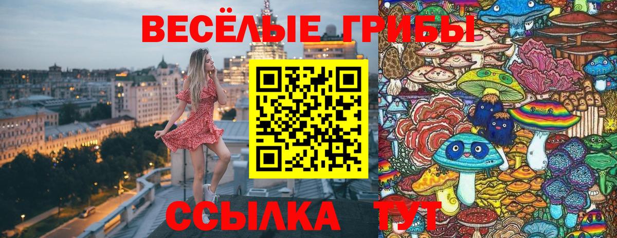 Рубцовск  Галлюциногенные грибы Psilocybine cubensis  Вход с VPN 